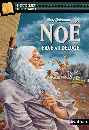 Noé face au déluge