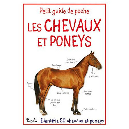 Les chevaux et poneys