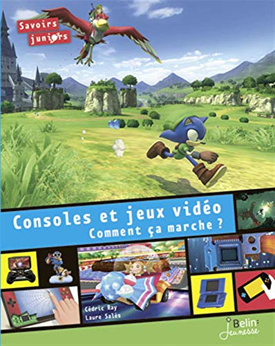 Consoles et jeux vidéo : comment ça marche ?