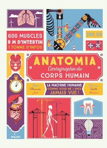 Anatomia